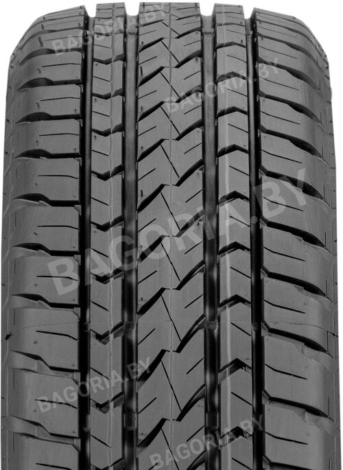 Competus H/L